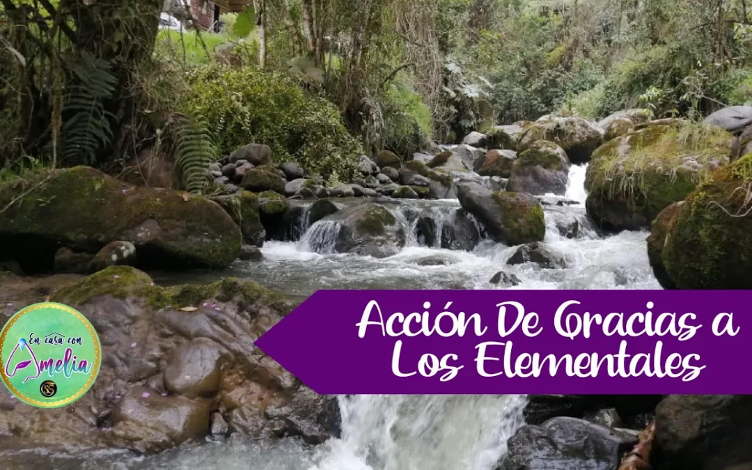 Accion de Gracias a los elementales