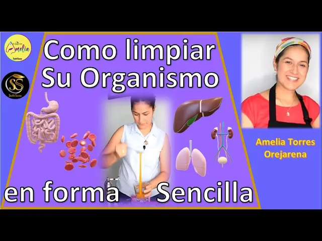 Como limpiar su organismo de forma sencilla