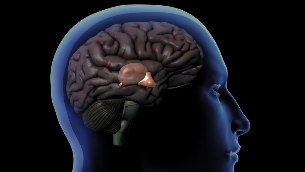 COMO DESCALCIFICAR LA GLANDULA PINEAL – LUIS ANTONIO MELÓN