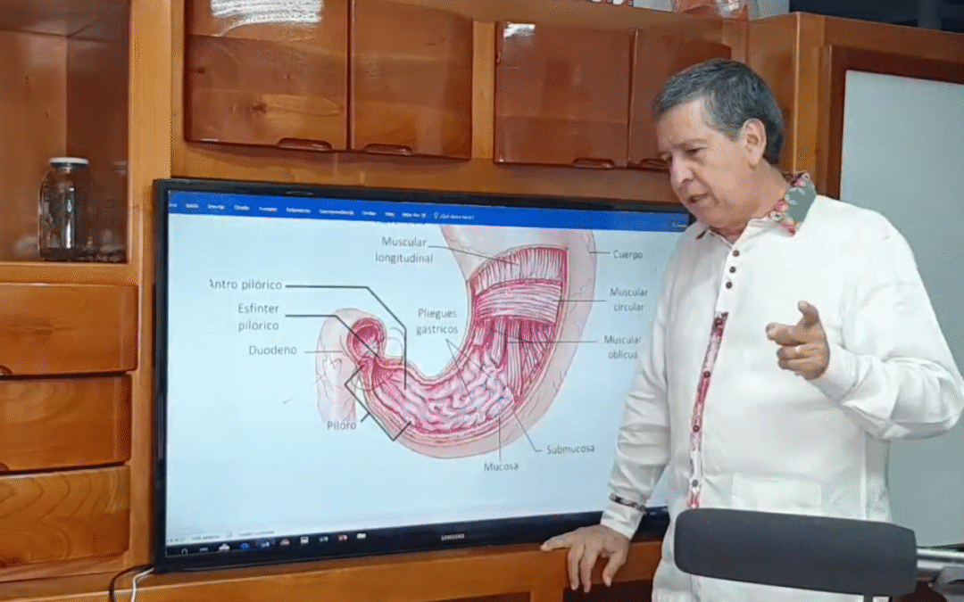 ASPECTOS GENERALES SOBRE LA DIGESTION – REMEDIOS NATURALES – ALIMENTACION SALUDABLE