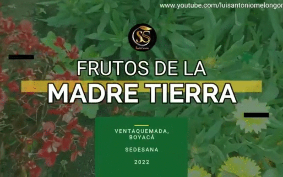 FRUTOS DE LA MADRE TIERRA – VENTAQUEMADA, BOYACÁ – LUIS ANTONIO MELÓN