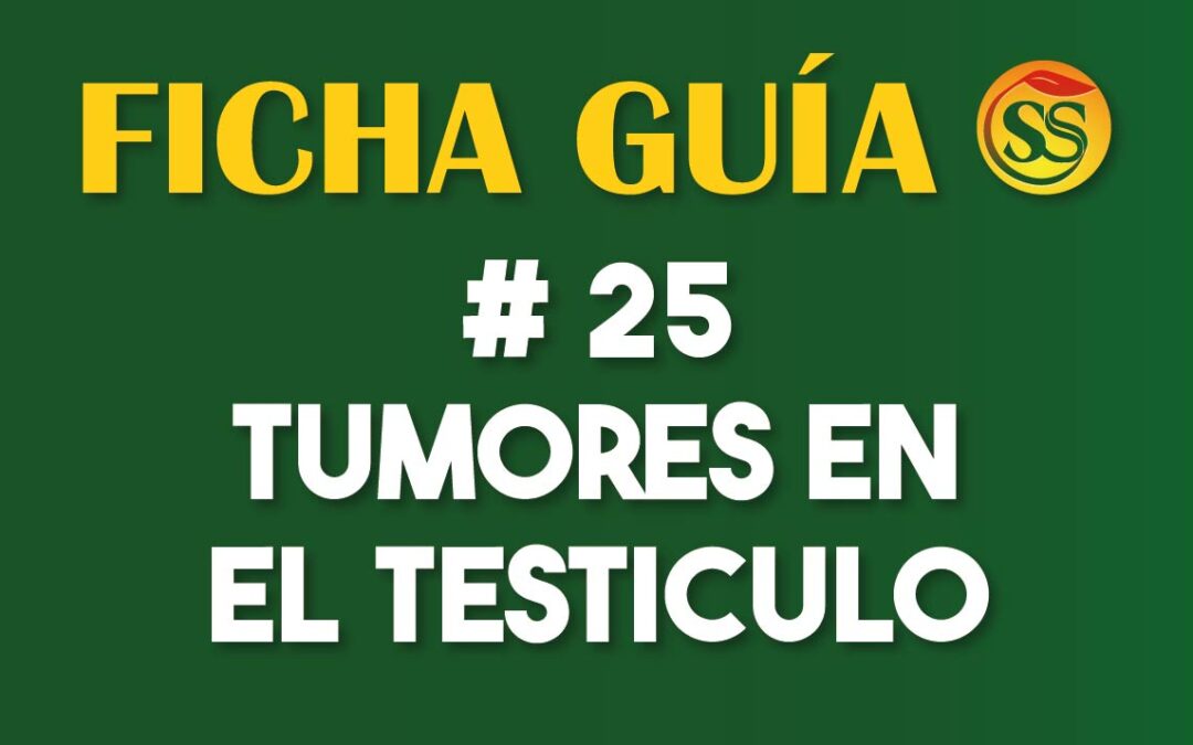 FICHA-GUÍA # 25 – Tumores en el Testículo – Septiembre-2023