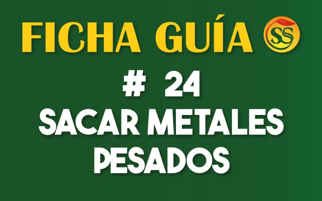 FICHA-GUÍA # 24 – SACAR METALES PESADOS – Junio-2023