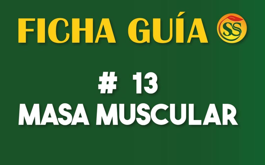 FICHA-GUÍA # 13 – Masa Muscular – Enero-2023