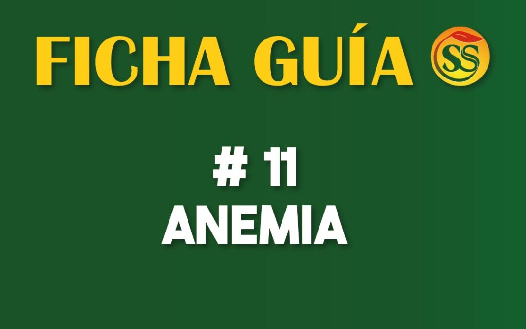 FICHA-GUÍA # 11 – Anemia – Enero-2023
