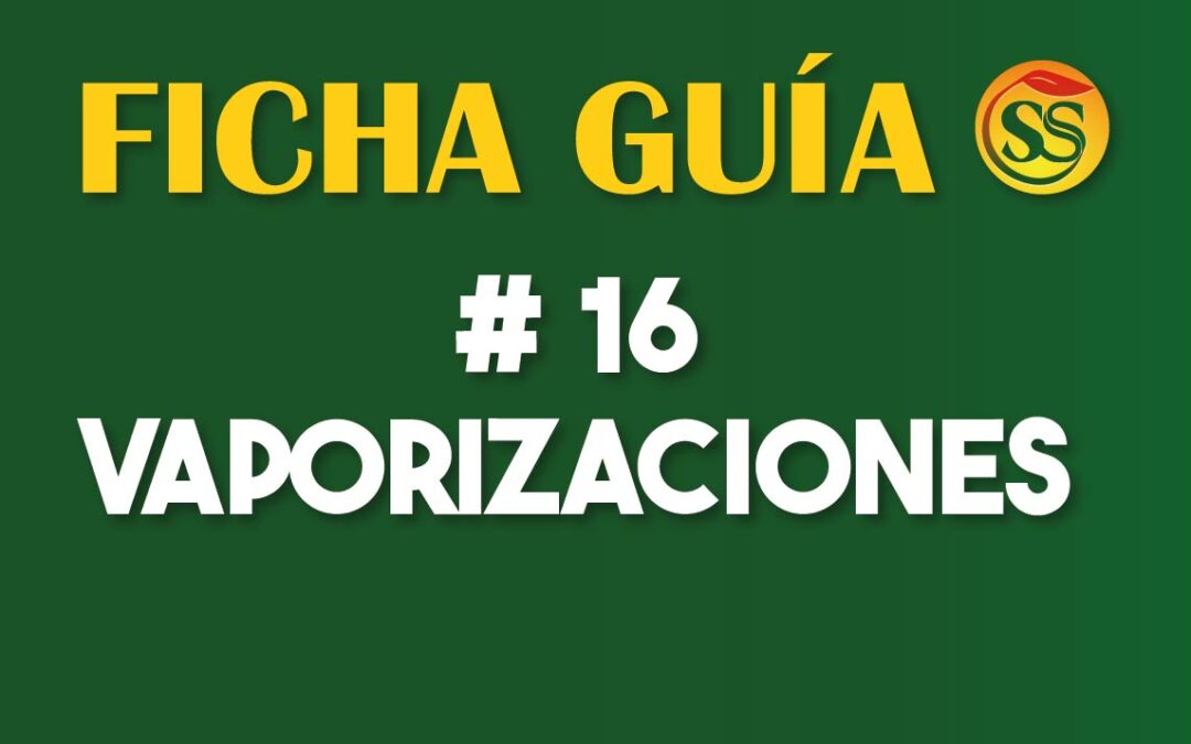 FICHA-GUÍA # 16 – Vaporizaciones – Enero-2023
