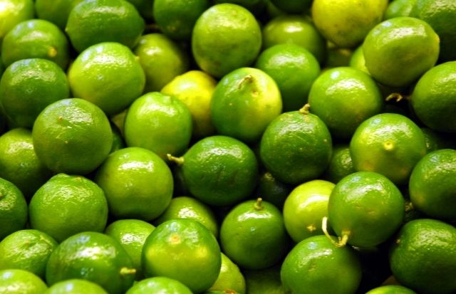 LIMÓN_ Propiedades y Beneficios – PREPARACIONES CON LIMÓN – LIMÓN CON CÁSCARA – Luis Antonio Melón