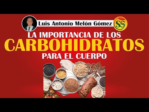 LA IMPORTANCIA DE LOS CARBOHIDRATOS