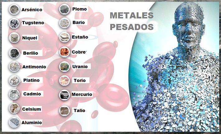 CRONOLOGÍA PARA SACAR METALES TÓXICOS DEL CUERPO – 06-FEBRERO- 23
