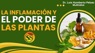 LA INFLAMACIÓN Y EL PODER DE LAS PLANTAS