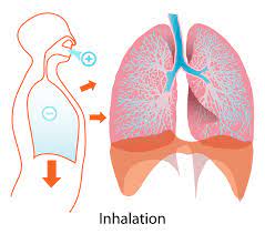 RESPIRACIÓN Y OXIGENACIÓN