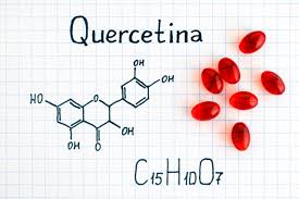 LA QUERCETINA_ EL FLAVONOIDE CON MAS PROPIEDADES MEDICINALES-Agosto-11-2020 LUIS A. MELÓN G. – copia