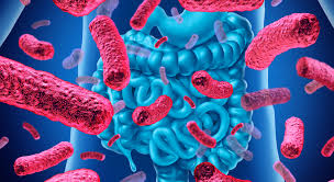 LOS PROBIÓTICOS Y LA ALIMENTACION SALUDABLE_ Con el Dr. JAIME FORERO G. Dr. en Medicina y Cirugía