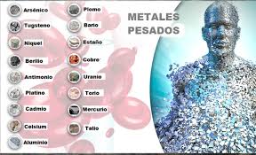 METALES TÓXICOS EN EL CUERPO_ CÓMO SACARLOS – 31 ENERO 23 – LUIS MELÓN