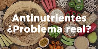 ALIMENTOS, NUTRIENTES Y ANTINUTRIENTES – REMEDIOS NATURALES – ALIMENTACION SALUDABLE