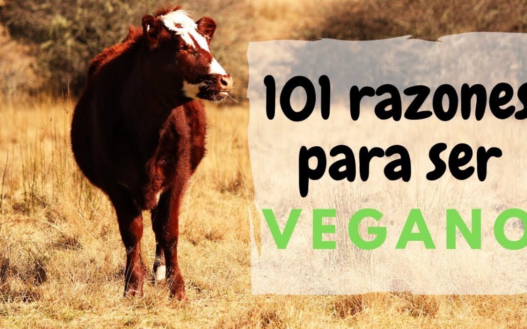 101 Razones para ser Vegano Subtitulado