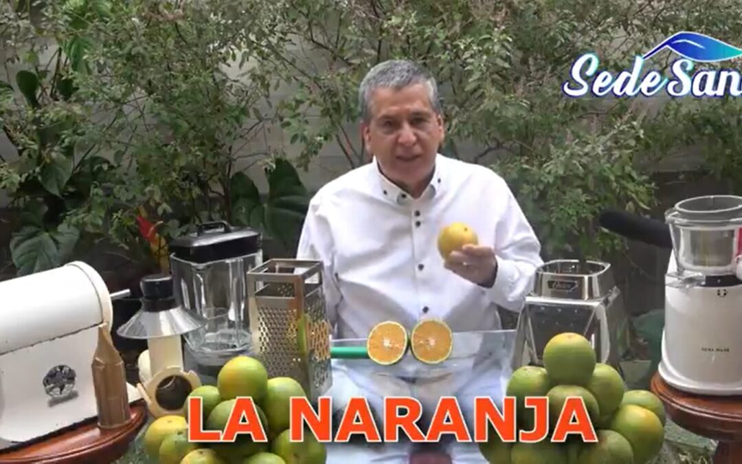 ZUMO DE NARANJA CON PELLEJO BLANCO-PECTINA-HESPERIDINA-ERIODICTYOL-LIMONENO-NARINGENINA