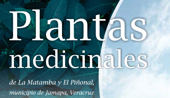 PLANTAS MEDICINALES DE MÉXICO