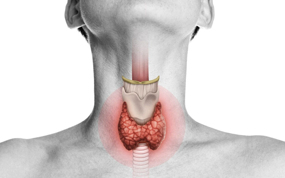 HIPOTIROIDISMO – MASA MUSCULAR – ALIMENTACION POST OPERATORIA – 07-MAYO-2022 – LUIS MELON
