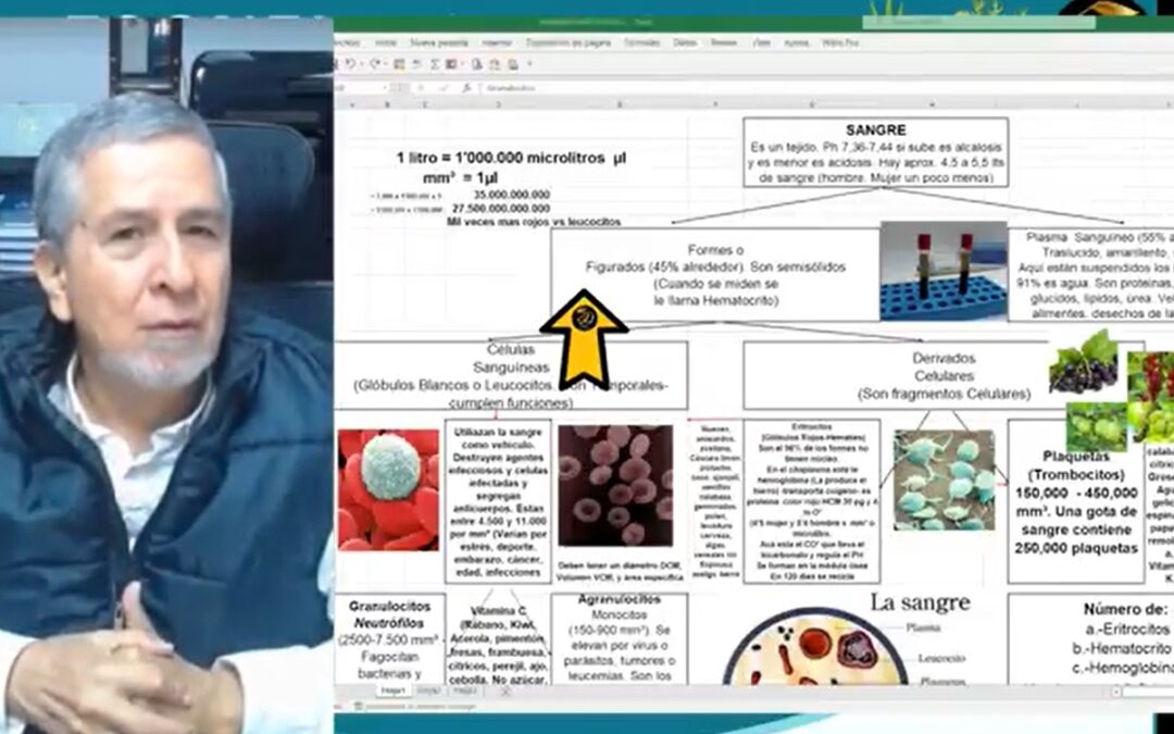 RESPONDIENDO PREGUNTAS 8 DE MAYO 2024 – LUIS ANTONIO MELÓN