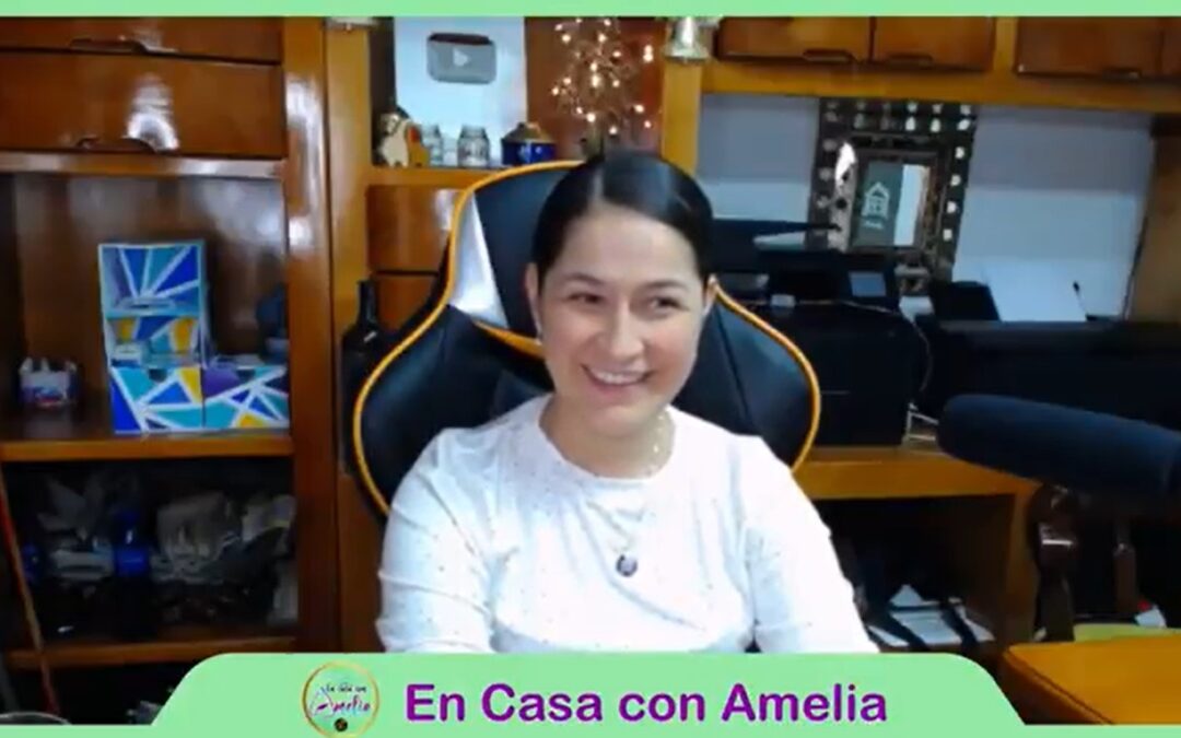 RESPONDIENDO INQUIETUDES DE TEMAS VISTOS _ En casa con Amelia