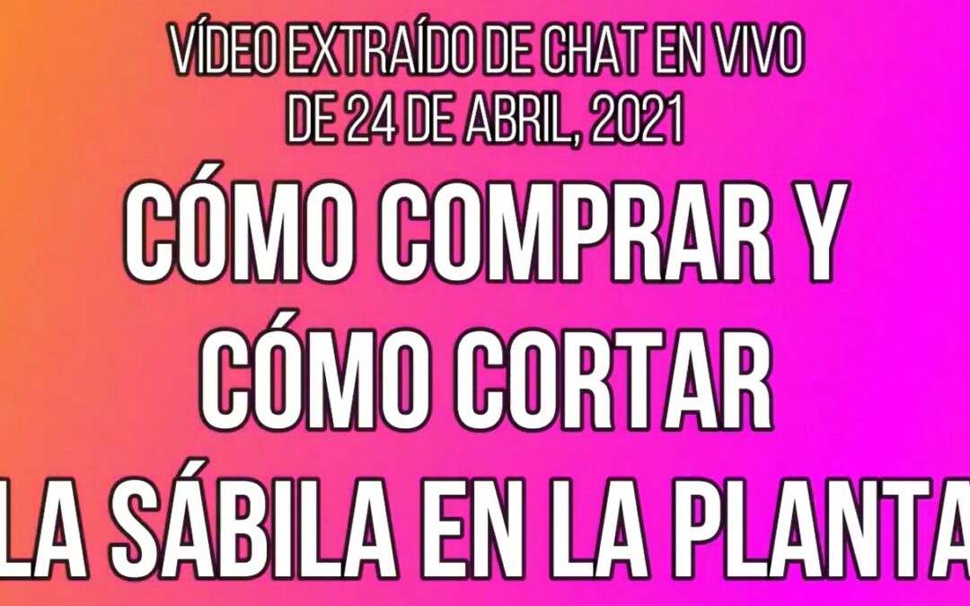 SÁBILA_ Como cortarla y como comprarla – Luis Antonio Melón